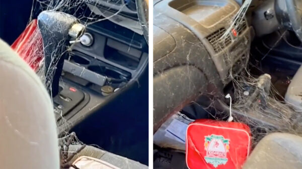 Ineens besef je dat je tóch een nieuwe auto gaat kopen