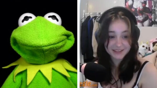 Vunzige Kermit showt zijn komkommer weer eens op Omegle