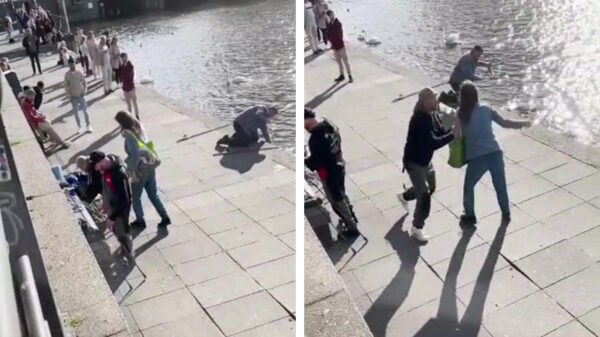 Agressieve Karen wordt het water in geduwd als ze een visser aanvalt