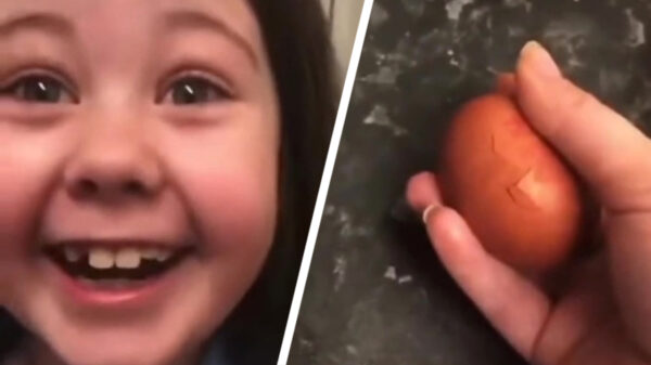 Om je dochter te trollen heb je alleen maar een ei nodig