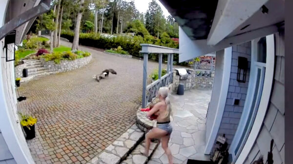 Vrouw jaagt bloeddorstige arend weg terwijl ze borstvoeding geeft