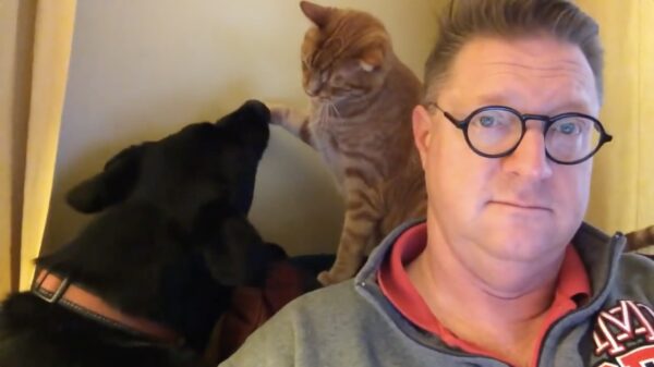 Het enige dat hij wilde was in alle rust het journaal kijken