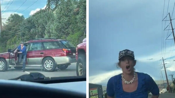 Karen zet haar auto midden op de weg stil en gaat voor een burgerarrest