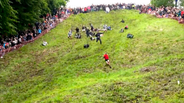 Knikkende knietjes tijdens het jaarlijkse kaasjagen in Coopers Hill