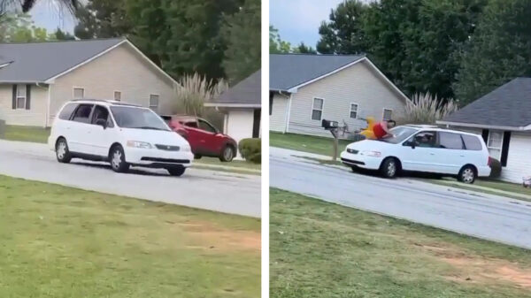 Idiote bestuurder heeft ineens Big Mama op de motorkap liggen