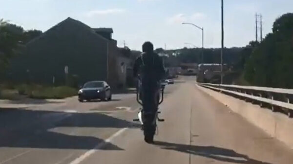 Motorbink eindigt wheelie met een dikke schorpioen op het asfalt