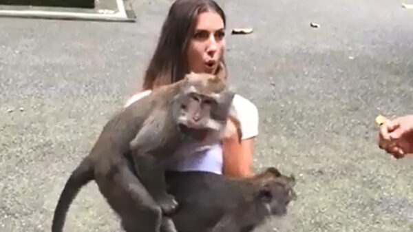 Valt dit nog onder een triootje?