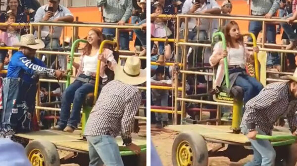 Deze lowbudget kermisattractie is niet voor figuren met een zwakke maag