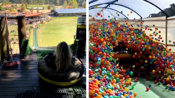 Is het een glijbaan? Is het een ballenbak? Nee, het is 't allebei!