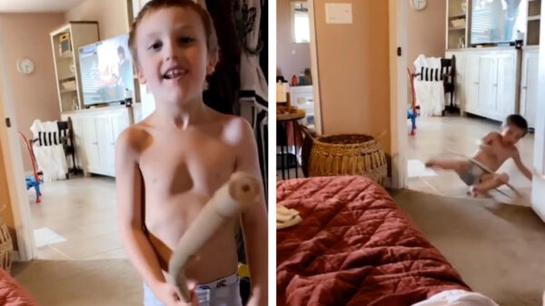 Koter ontdekt het nadeel van het hebben van een te grote zwengel