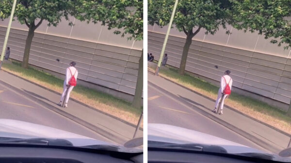 Wandelaar lijkt nogal gesteld op dit specifieke paaltje te zijn