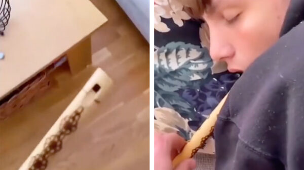 Ineens kom je tot de ontdekking dat je huisgenoot prima fluit kan spelen