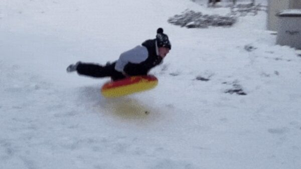 Gifdump: de schorpioenen-editie