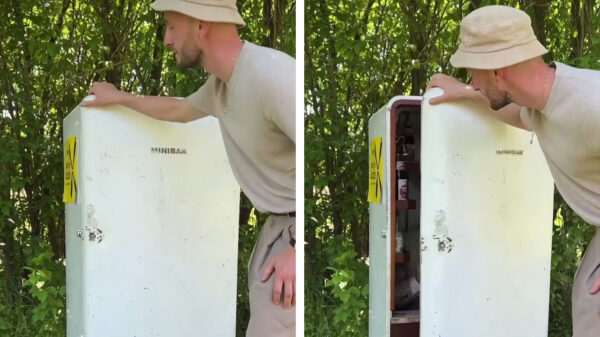 Wel eens gezien hoe een echte minibar in zijn werk gaat?