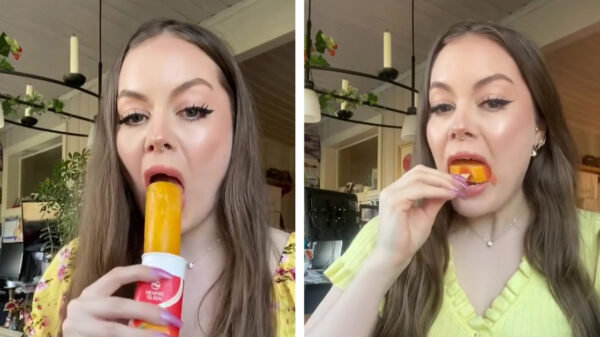 Als je zin hebt om ijs te eten maar weinig tijd hebt