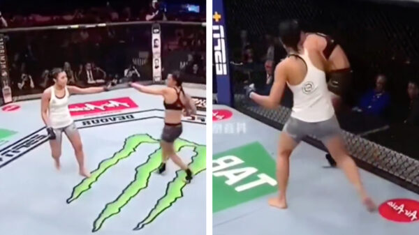 Kooivechtster deelt meteen een trap uit maar krijgt karmakoekje van eigen deeg