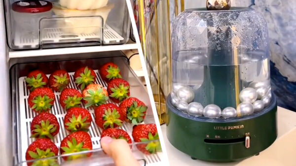 Wonen ze in Zuid-Korea toevallig al in het huis van de toekomst?