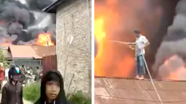 Dappere dodo blust enorme uitslaande brand met zijn tuinslang