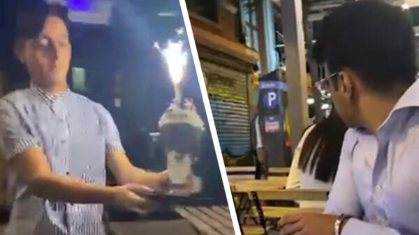 Feestvarken wordt op een gewelddadig verjaardagstoetje getrakteerd