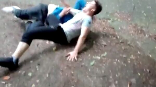 Spillebeentje schreeuwt het uit van de pijn als zijn poot doormidden knakt