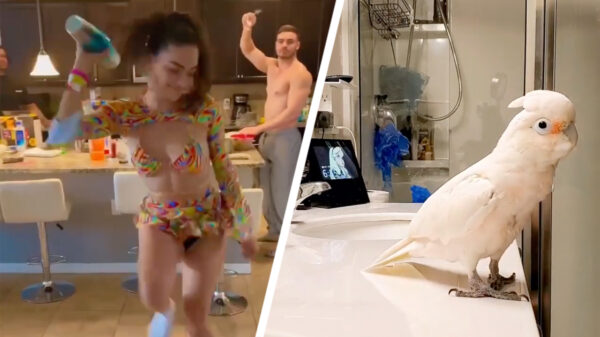 Hotssjeeeeéé het is weekend!