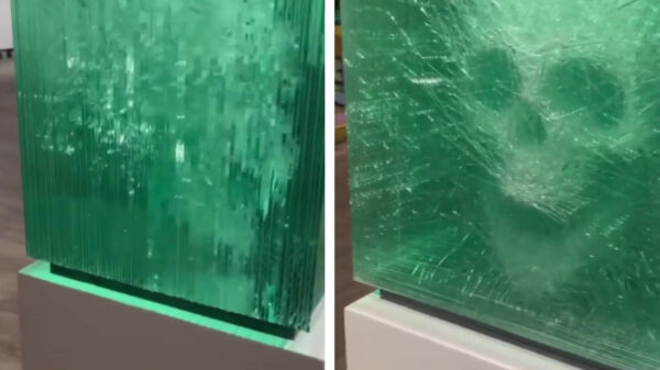 Wedden dat je dit superbrute schedelkunstwerk in je huis wil hebben?