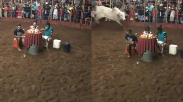 De deelnemer met de grootste cojoñes was al vrij snel bekend