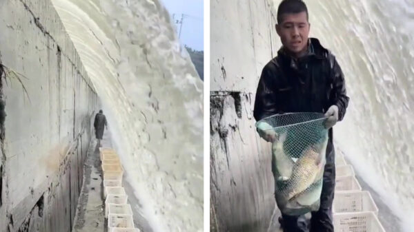 Vissen bij een dam, voor hele luie vissers