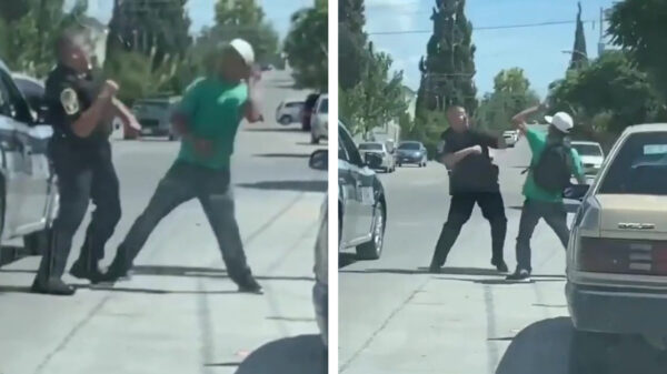 Al eens een politieagent een verkeersfittie met de vuisten uit zien vechten?