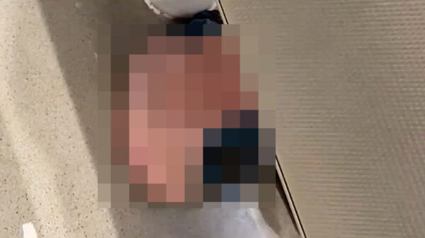 Ondertussen op het toilet: wie of wat zit er godsnaam naast je?