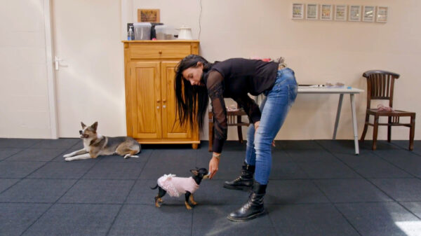 Natuuuurlijk: Nicolleke gaat op dansles met haar hond en de wereld is nu echt stuk