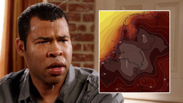 We gaan er allemaal aan: wederom temperaturen van maar liefst 42 graden voorspeld