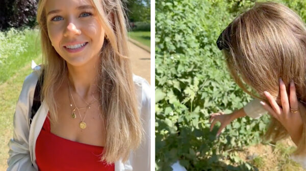 Je Amerikaanse vriendin vragen of ze je favoriete blaadjes wil plukken