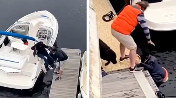 Dit middagje op de boot was misschien toch net iets té gezellig