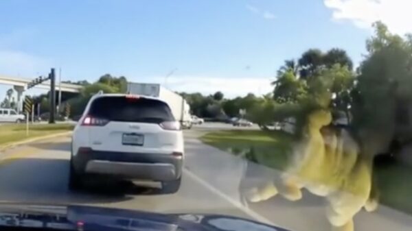 Instant karma voor hufter die via de vluchtstrook ff wil inhalen