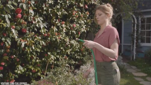 Nieuwe gadget voor thuis: de Google Blyat