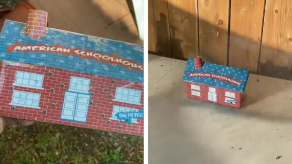 Dit is het meest Amerikaanse vuurwerk dat er bestaat