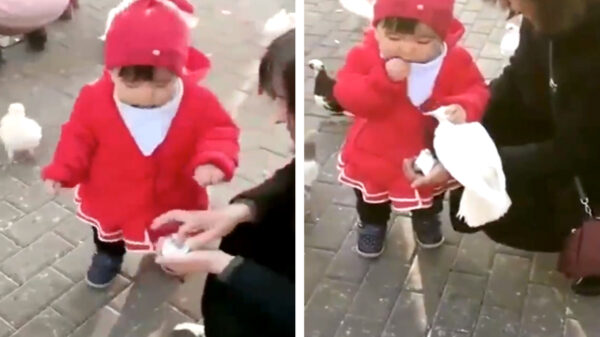 Afblijven gek, helemaal niemand zit met z'n fikken aan mijn lunch!