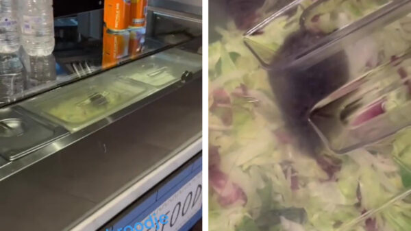 In Leidschendam lopen bij de gyrostent de ratten letterlijk door de bak met sla