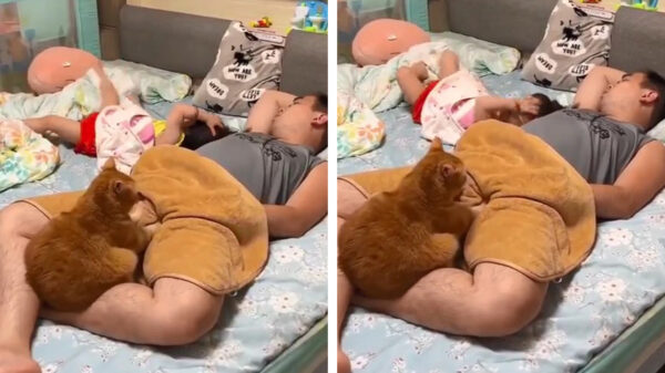 Kerel is waarschijnlijk héél fijn aan het dromen