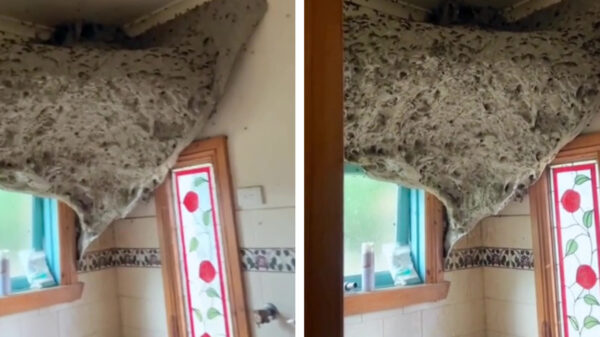 Nee joh laat maar, ik houd het nog wel effe op