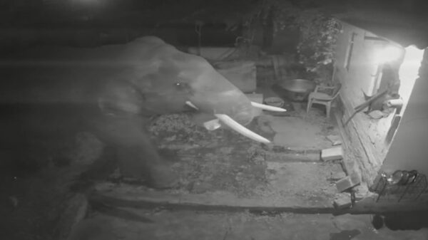 Hoe ga je dit in vredesnaam aan je verzekeraar uitleggen?!