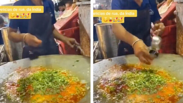 Aha! Nu begrijpen we waarom we soms buikpijn krijgen van Indisch eten