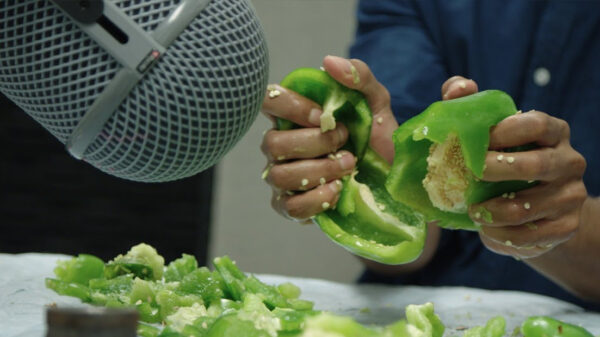 Hoe maken ze toch al die ranzige geluiden voor de Mortal Kombat-games?