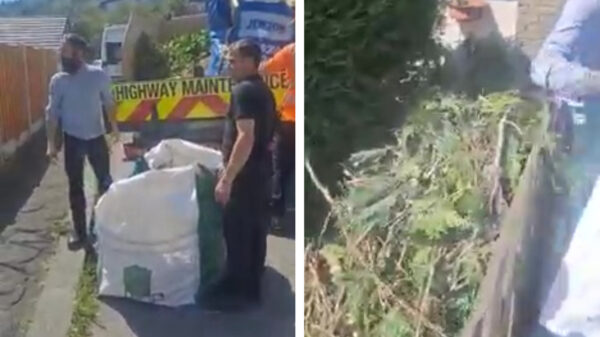 Klant van boomchirurg weigert te betalen en wordt op geniale manier teruggepakt