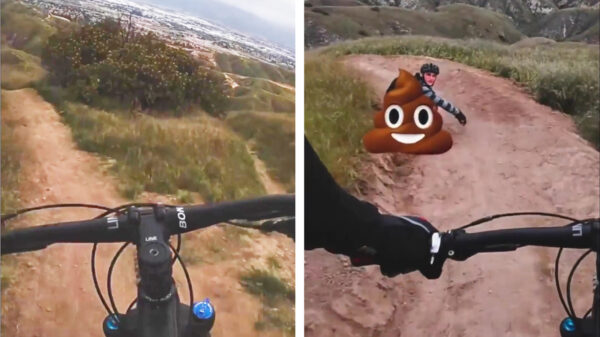 Dit is het laatste dat je tijdens het mountainbiken tegen wil komen