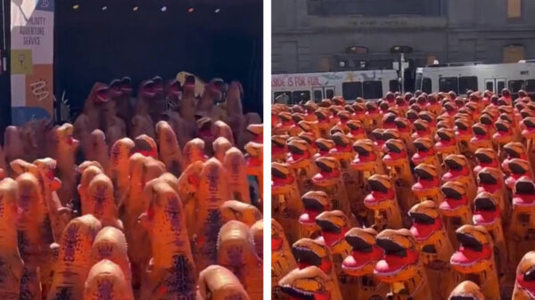 Oké, dit zie je ook niet elke dag