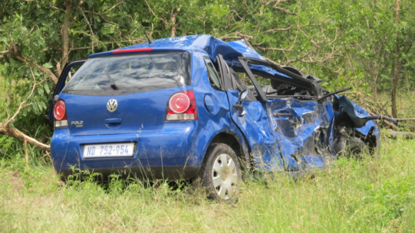 Olifant is moe van al die toeristen in Kruger Park en sloopt hun auto