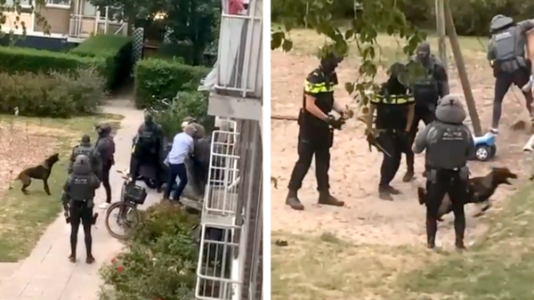 Agent tasert hond tijdens arrestatie van een verwarde man in Den Haag