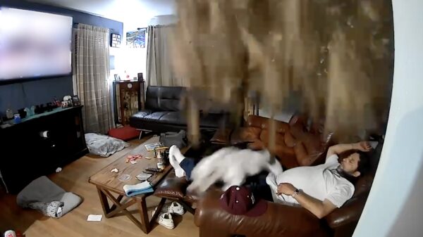 Hoe een ontspannen avondje op de bank in één grote puinzooi veranderde